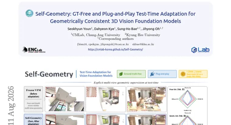 Self-Geometry fixes multi-view errors in vision foundation models
