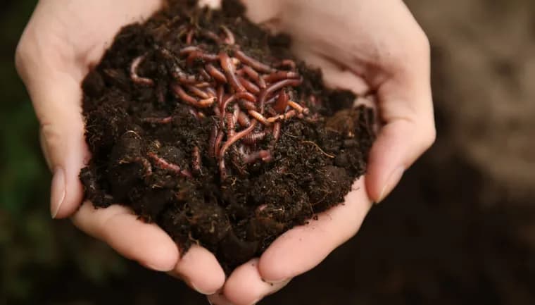 ChainDrop worm infects 444 npm packages, evades standard defenses