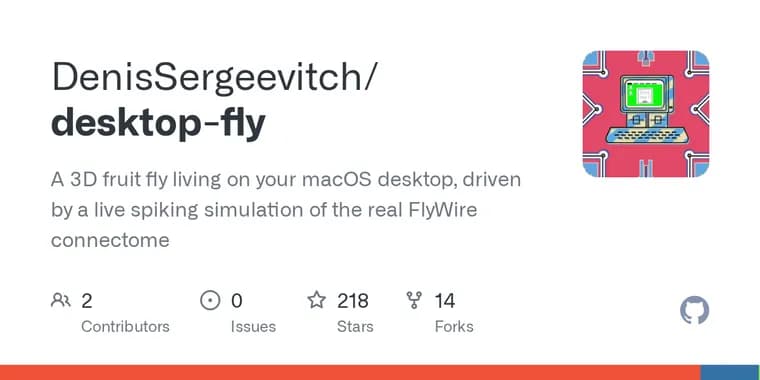 DesktopFly simulates a real fly brain from FlyWire data on macOS