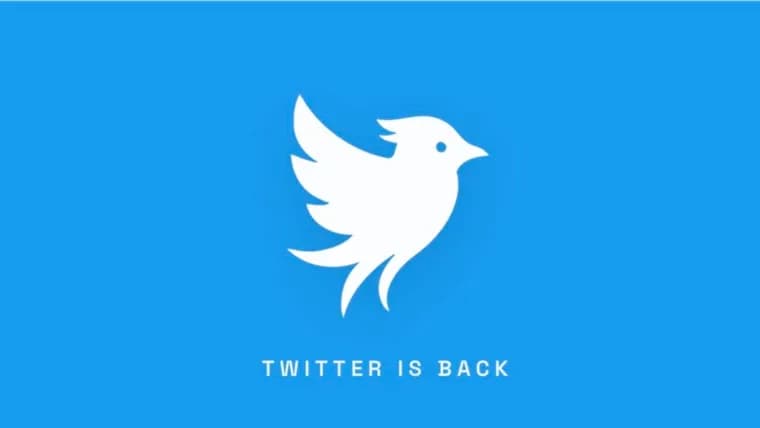 Twitter.now launches, says X gave up the Twitter trademark