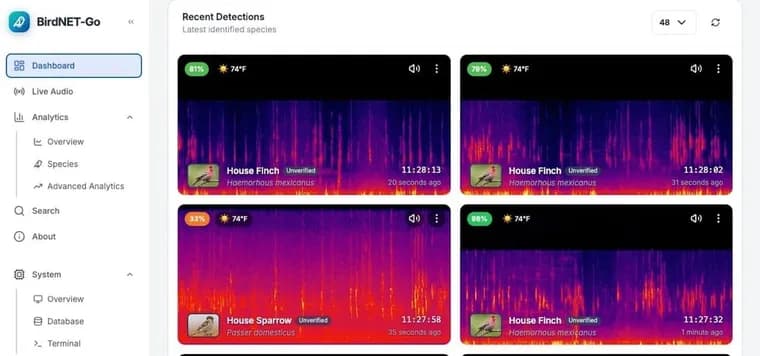 BirdNET-Go turns security cameras into a bird identifier