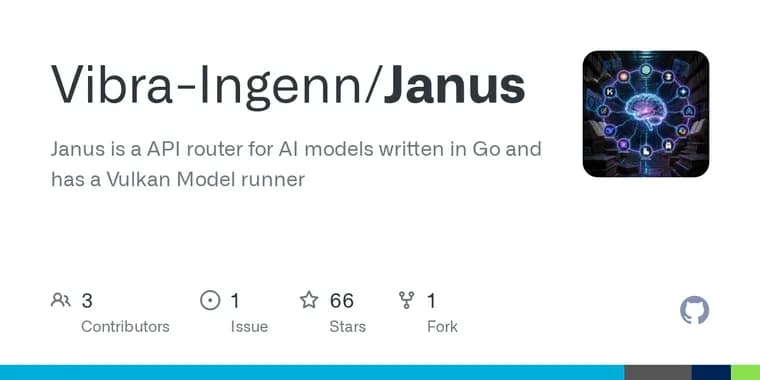 Janus, a single Go binary, runs GGUF models locally via Vulkan