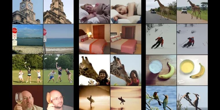 Weizmann AI tool rebuilds what you see from fMRI brain scans