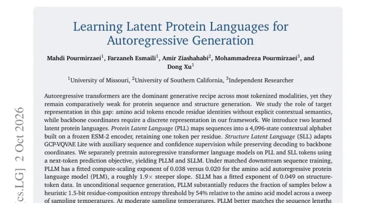 Latent protein languages PLL and SLL help transformers scale in protein generation