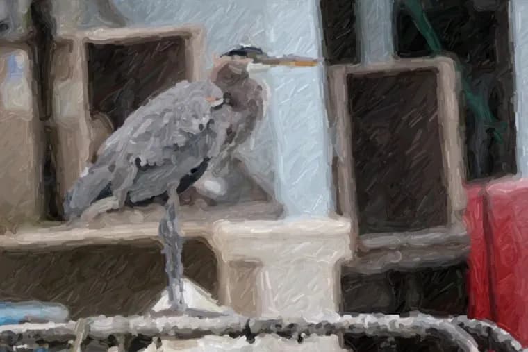 Simon Willison has Claude Opus 5.5 build Quick Study, a photo painter