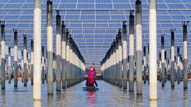 Solar now out-generates nuclear worldwide, BBC analysis of Ember data shows
