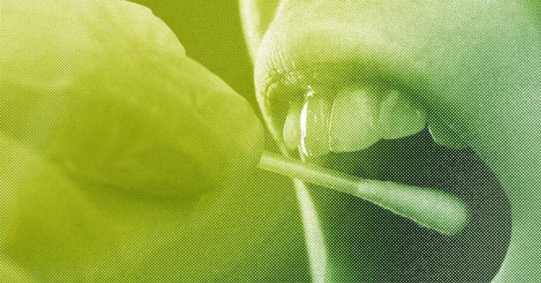WIRED's Uncanny Valley covers ICE's DNA dragnet and the growing backlash to AI slop