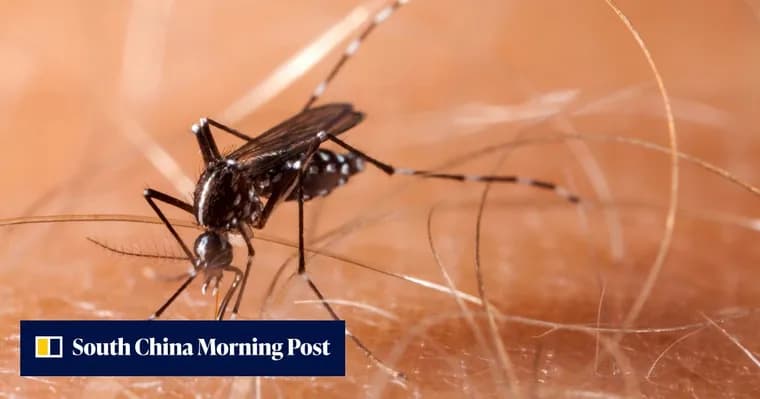 Photon Matrix Lab plans to ship its laser mosquito killer this month