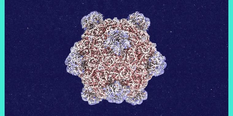MIT Technology Review interviews Samuel King on AI-designed viruses