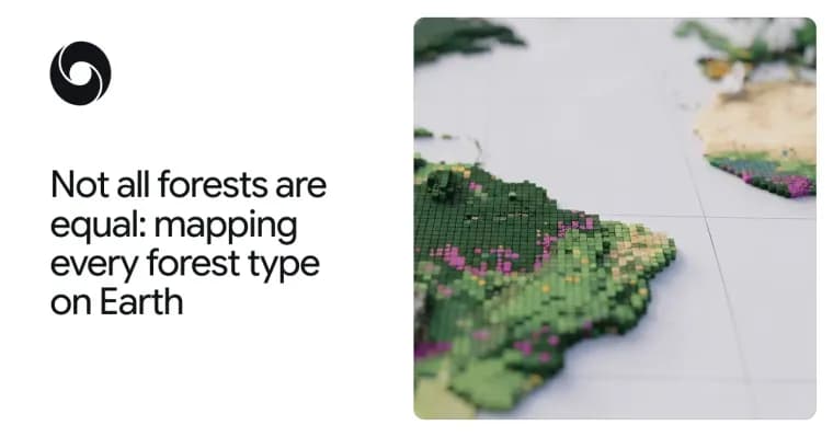 Google DeepMind releases ForTy 2020, a 10-meter global forest-type map